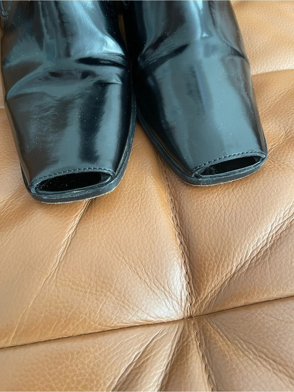 Marni rabbit picture